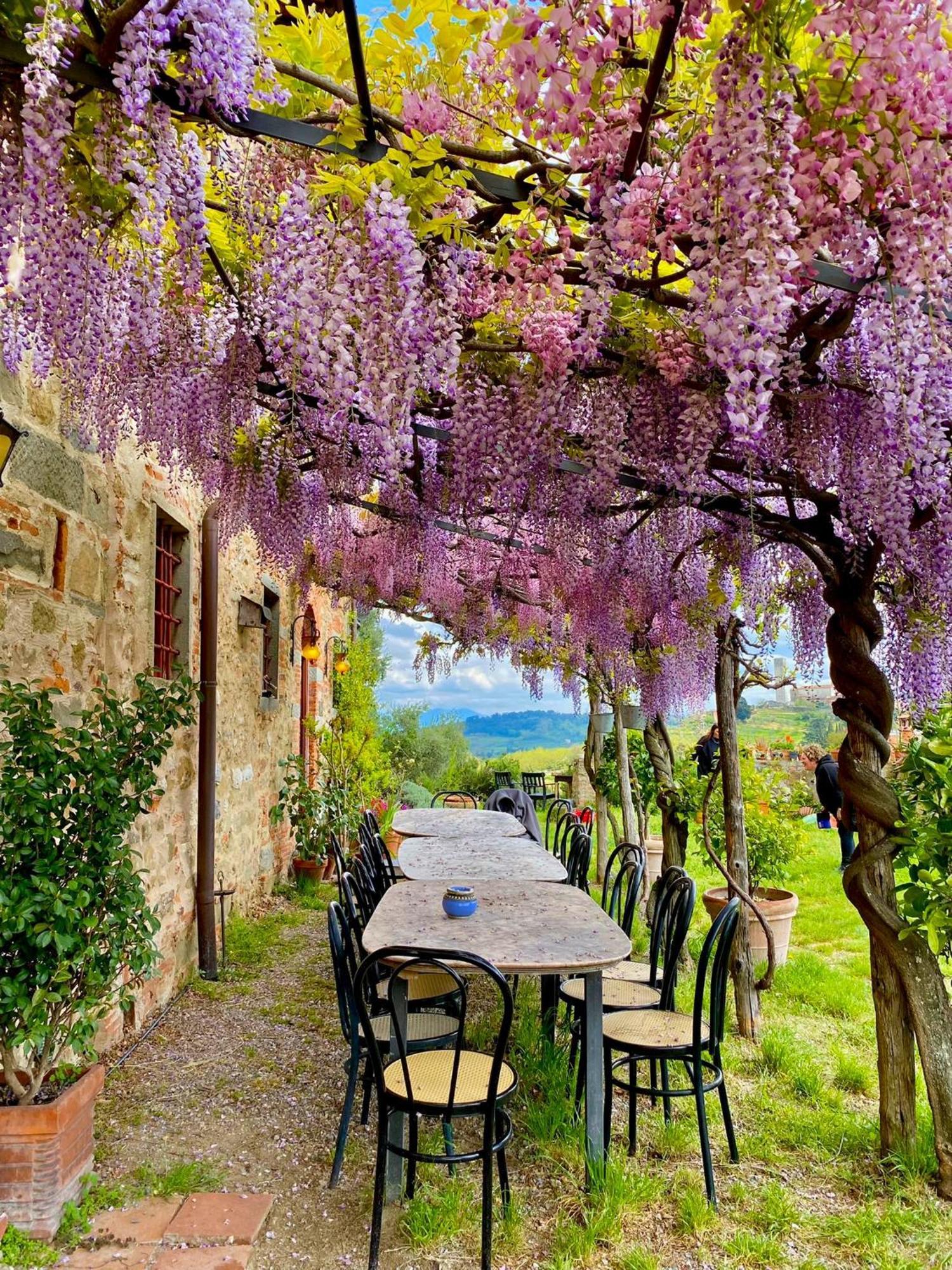 Agriturismo I Pitti Serravalle Pistoiese Extérieur photo