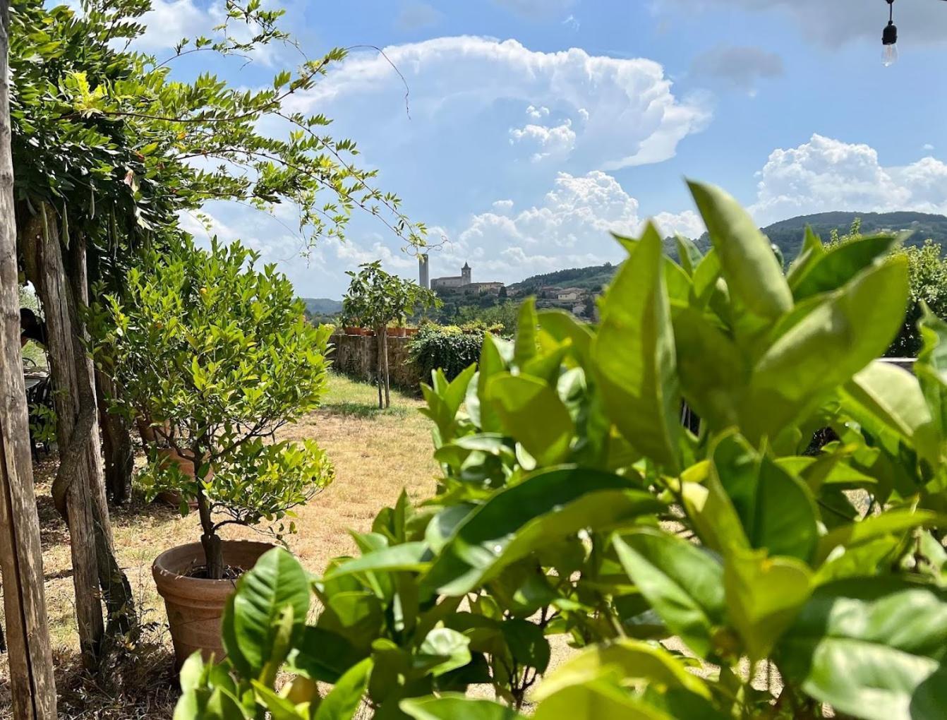 Agriturismo I Pitti Serravalle Pistoiese Extérieur photo